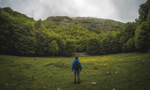 Man looking out on open area