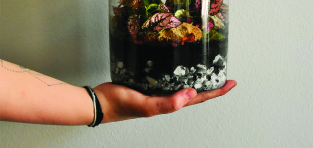 Person holding jar with rocks and dirt