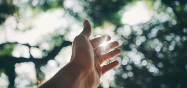 Hand outstretched to the sun
